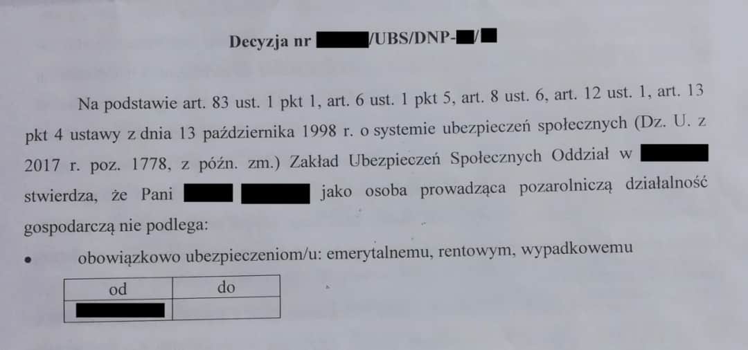 Decyzja ZUS o żłobkowym: Kiedy ją dostaniesz i co dalej?