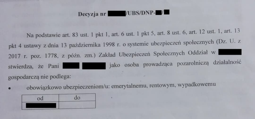Decyzja ZUS o żłobkowym: Kiedy ją dostaniesz i co dalej?