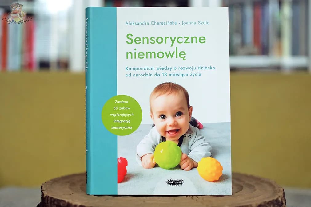 Książka sensoryczna: Klucz do rozwoju dziecka? Poradnik eksperta